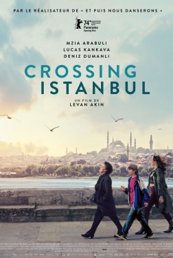 Crossing Istanbul  (2024)