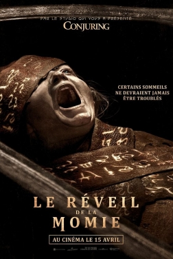 Le Réveil de la Momie (2026)